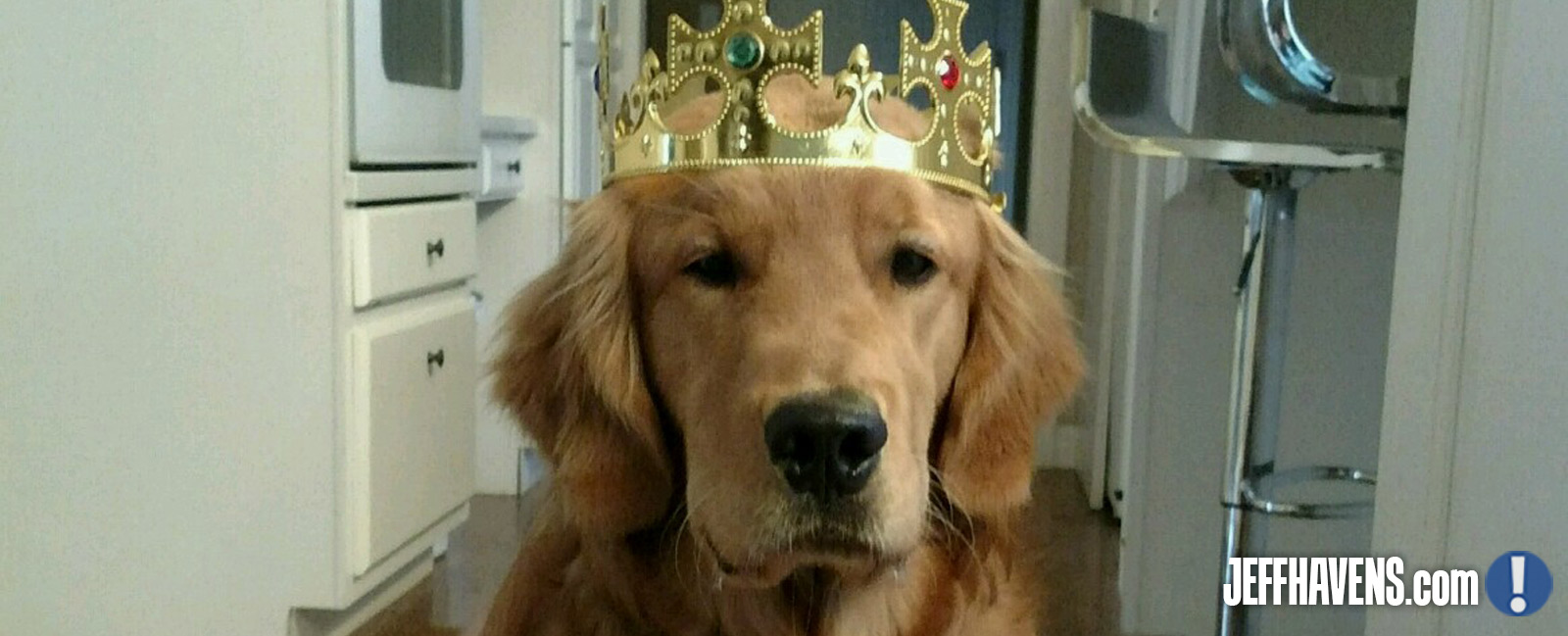 Keynote speaker Jeff Havens dog Pancake