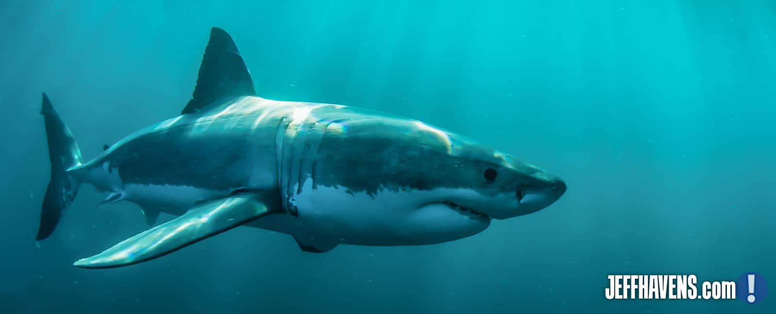 Jeff Havens – How to Overcome Fear Jeff Havens - How to Overcome Fear