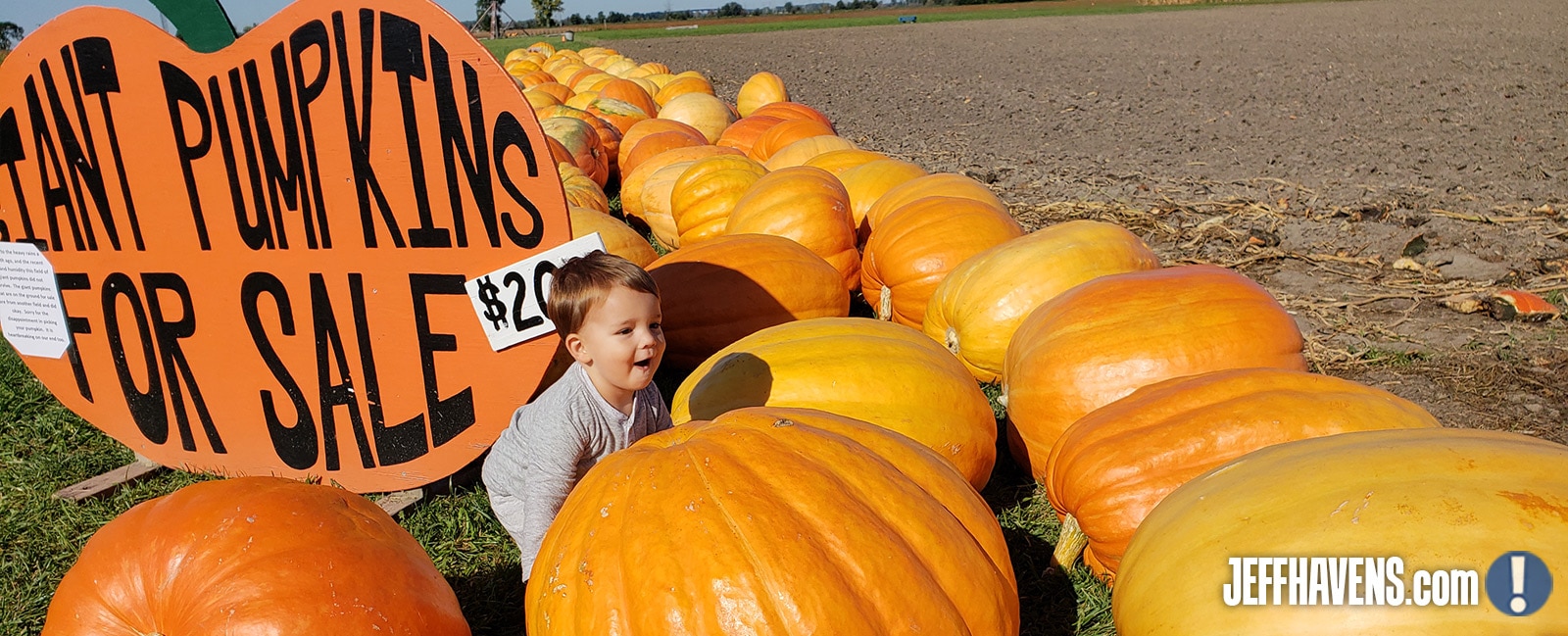 Why Your Kids Should Pick Your Pumpkins
