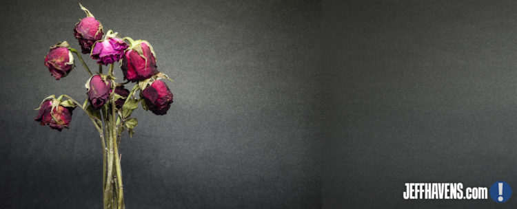 Customer Experience Keynote Article - Jeff Havens