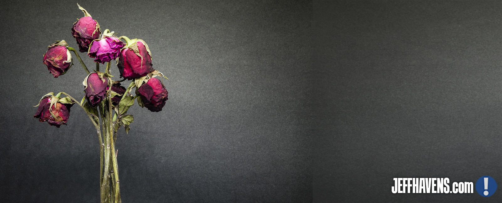 Customer Experience Keynote Article - Jeff Havens