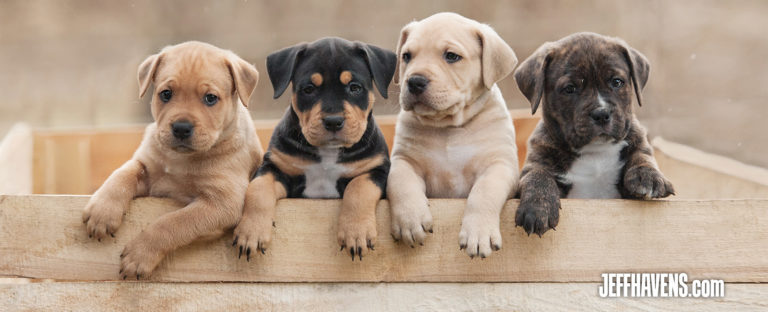 Jeff Havens Networking Ideas