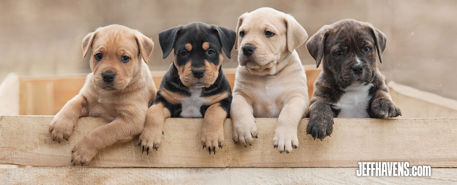 Jeff Havens Networking Ideas