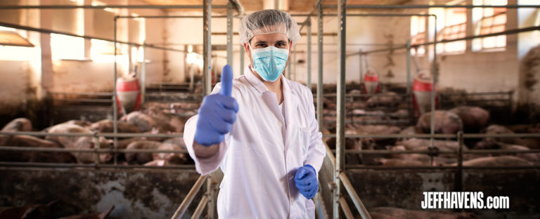 What You Can Learn From a Pig Farmer